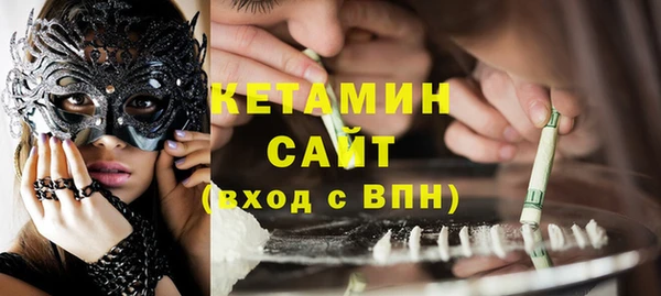 гашик Алексин