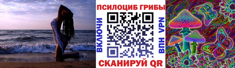 Псилоцибиновые грибы MAGIC MUSHROOMS  Карасук 